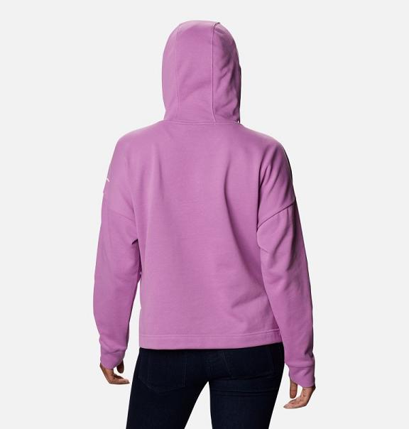 Columbia Logo Hoodies Pink For Women's NZ83576 New Zealand